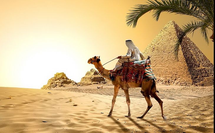 Отдых в Египте из Узбекистана — море, история и комфорт круглый год